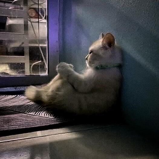 Foto kenangan